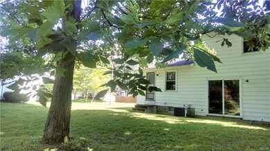 Beautiful shade tree in the backyard!