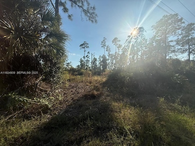 1088/1090 Ainsworth St E, Lehigh Acres, FL 33974 - photo 2