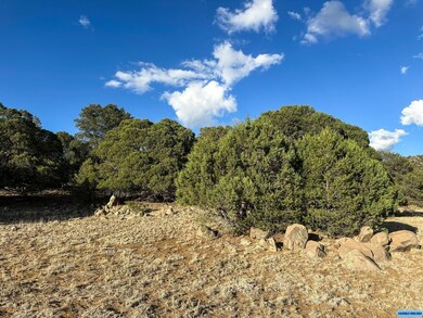 TBD Linda Dr, Silver City, NM 88061 - photo 5