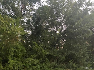 2+/- acres Ferdinand St, Saint Clair, MO 63077 - photo 2