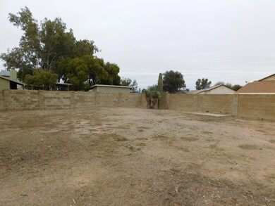Backyard Left