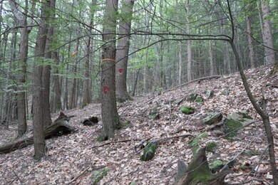 0 Manning Hill Rd, Winchester, NH 03470 - photo 2