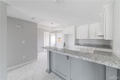 820 Dove St, Alamo, TX 78516 - photo 5