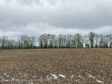 00 W Cutler Rd, Dewitt, MI 48820 - photo 2