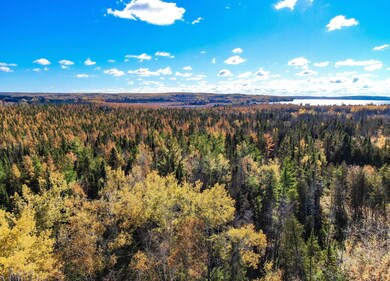 0 Hubbard Lake Rd unit 25571195, Hubbard Lake, MI 49747 - photo 4