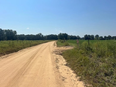 2 Childs Rd, Troy, AL 36081 - photo 2