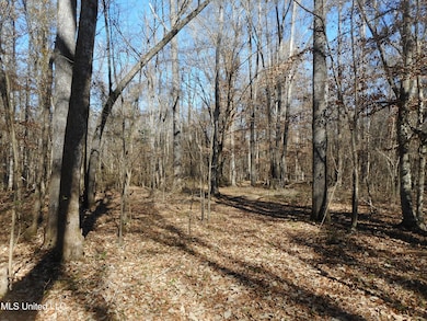 0 Joe Davis Dr, Brandon, MS 39042 - photo 7