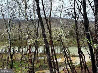 11135 S Fork Rd, Moorefield, WV - photo 5