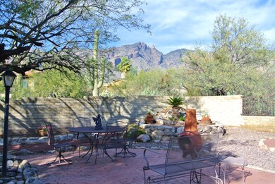 Backyard/Mountain View