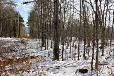 00 Tyson Rd, Reading, VT 05062 - photo 3