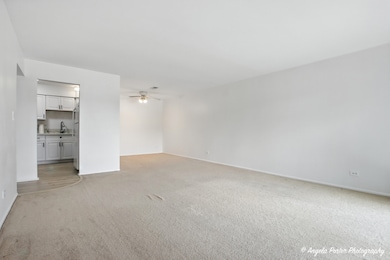 2600 Brookwood Way Dr unit 305, Rolling Meadows, IL 60008 - photo 7