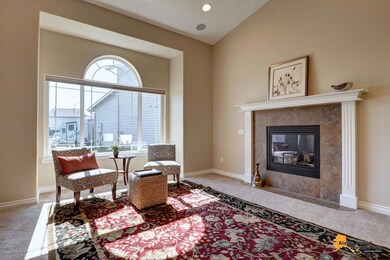 One of 2 gas fireplaces