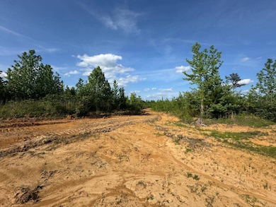 00 Sylvester Hudson Rd, Louisville, MS 39339 - photo 2