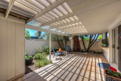 020_Backyard