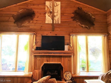 781 Canoe Run Rd, Looneyville, WV 25259 - photo 4