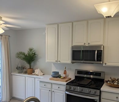 2528 Heritage Ct unit 1, Geneva, IL 60134 - photo 5