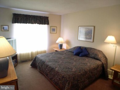 2608 Fairway Dr unit 603, Basye-Bryce Mountain, VA 22810 - photo 2