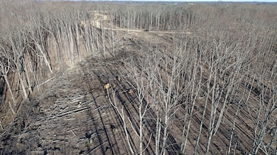 5 Oak Ridge Rd, Vanleer, TN 37181 - photo 5