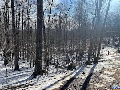 0 Stone Chimneys Rd unit 1 661050, Nellysford, VA 22958 - photo 5