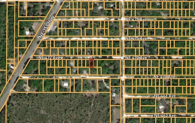 0 NE 472nd Ave, Old Town, FL 32680 - photo 3