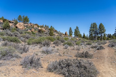 19309 Buck Canyon Rd, Bend, OR 97702 - photo 5