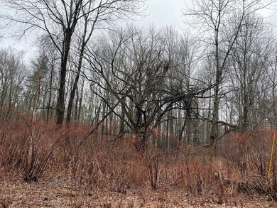 91 Clark Rd, Sturbridge, MA 01518 - photo 3