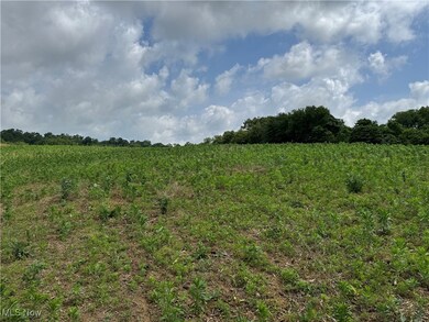 0 Dunker Rd, Baltic, OH 43804 - photo 4