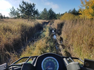 000 E 15 Mile Rd, Barbeau, MI 49710 - photo 3