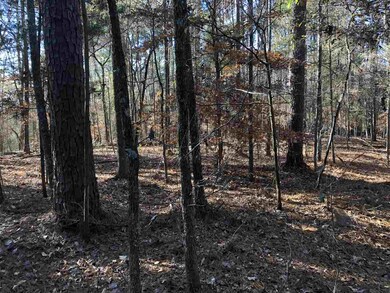 0 Highway 405 unit 3.9 1315307, Oxford, MS 38655 - photo 6