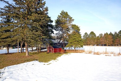 Back Yard view with shed