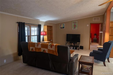 13480 Denver Dr, Hartland, MI 48353 - photo 4