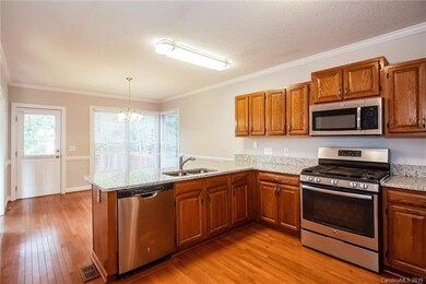 12501 Hawks Ridge Rd, Huntersville, NC 28078 - photo 7