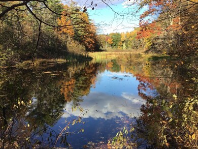 513 State Route 29, Ballston Spa, NY 12020 - photo 3