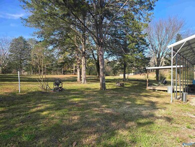 4378 Cathedral Caverns Rd, Woodville, AL 35776 - photo 4