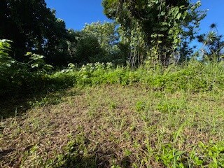 15-2714 Hou St, Hawaiian Beaches, HI 96778 - photo 5