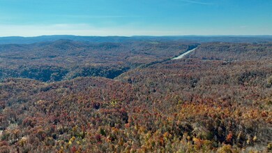 129 Woodchuck Run, Bragg, WV 25918 - photo 6