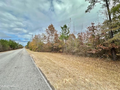 0 County Road 3122, McCool, MS 39108 - photo 6