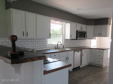 1036 Chippewa Rd, Muncy, PA 17756 - photo 3