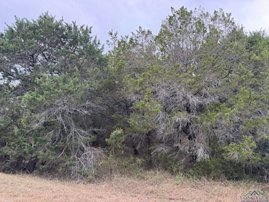 41077 Heartwood Cir, Whitney, TX 76692 - photo 2