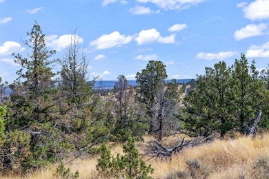 15875 SE Winchester Loop, Prineville, OR 97754 - photo 2