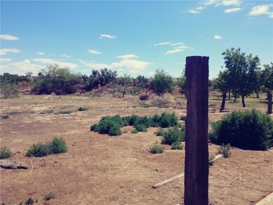 12205 Sugden Rd, Clint, TX 79836 - photo 6