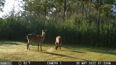 3255 Robbins Rd, Crapo, MD 21626 - photo 3