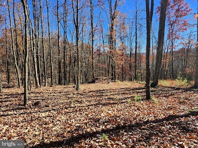 176 Rendezvous Rd, Delray, WV 26801 - photo 2