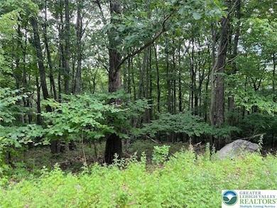 0 Faber Cir unit 40,41,42,43 759242, Tannersville, PA 18372 - photo 3