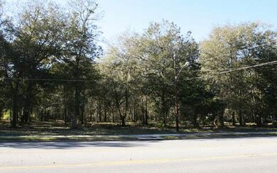 TBD Us 441, Lake City, FL 32055 - photo 3