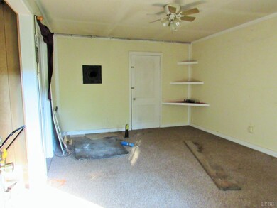 1100 Coffeytown Rd, Vesuvius, VA 24483 - photo 5