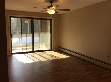 19 Saco St unit 38, Center Conway, NH 03813 - photo 4