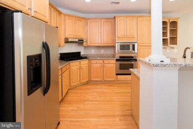 4088 Walnut Cove Cir, Fairfax, VA 22033 - photo 7