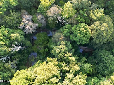 0 John I Hay Rd, Wesson, MS 39191 - photo 3