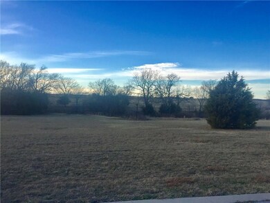 Lot 16 Coyote Creek Dr, Gordonville, TX 76245 - photo 3